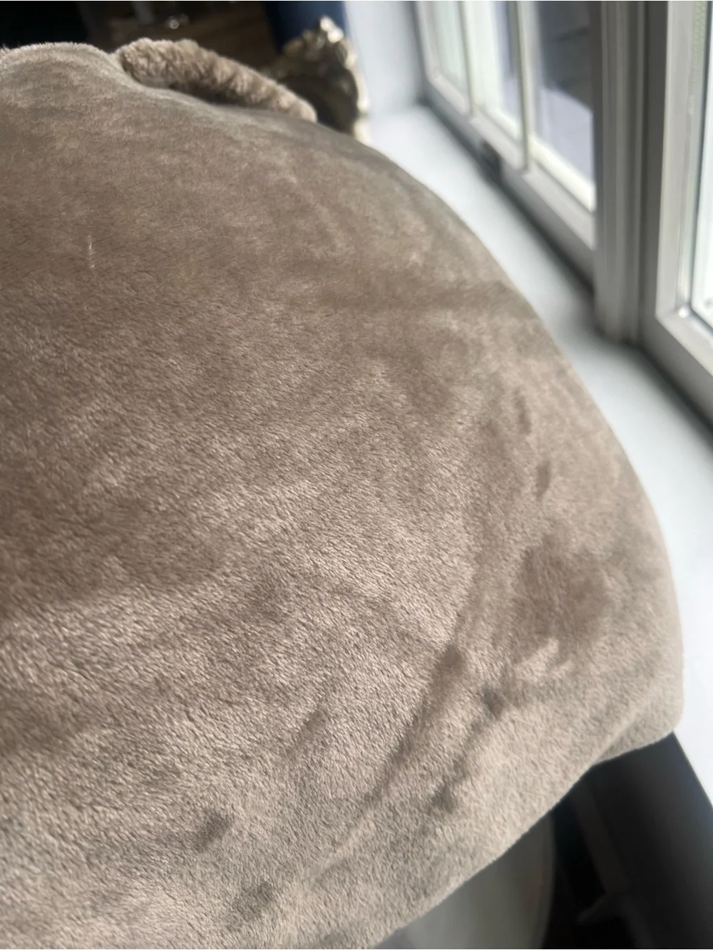 Nordstrom Plush Fringe Throw Blanket in Olive